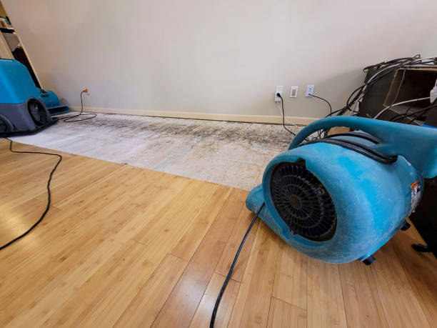 Professional Structural Drying technician working in Kingston, IL